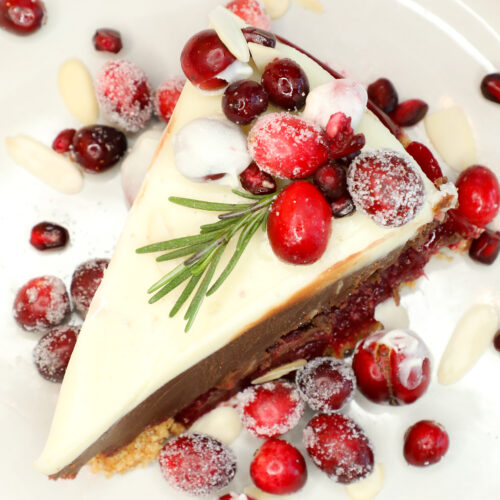 No-bake-Four-Layer-Chocolate-Cranberry-Tarte-slice