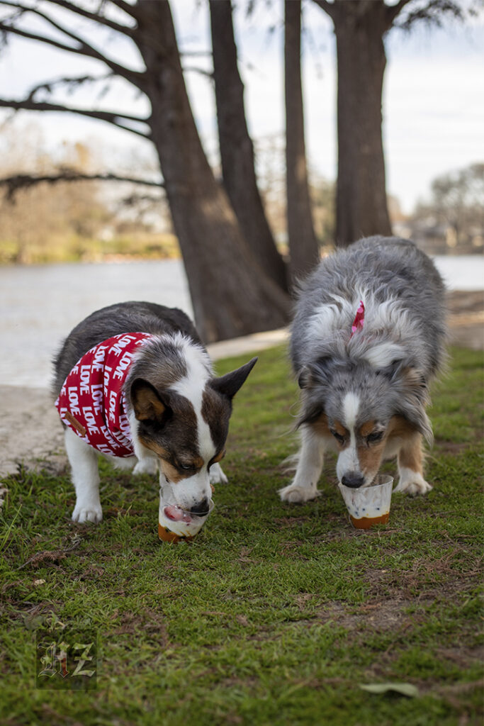 perfect-pup-cup-2024-recipe-supper-social-jessy